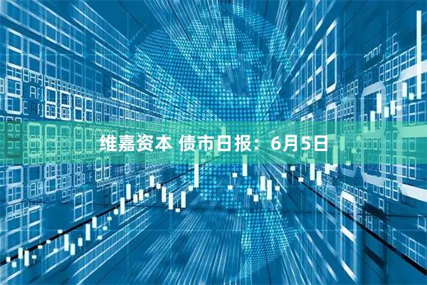 维嘉资本 债市日报：6月5日