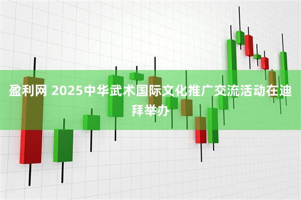 盈利网 2025中华武术国际文化推广交流活动在迪拜举办
