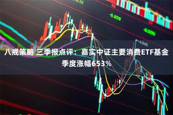 八戒策略 三季报点评：嘉实中证主要消费ETF基金季度涨幅653%